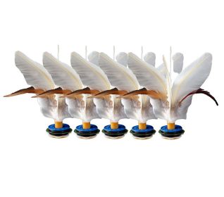 5 Pack Feather Kick Shuttlecock Chinese Jianzi Professional Kicking Foot Sports for Indoor Outdoor Game