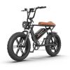 AOSTIRMOTOR STORM new pattern Electric Bicycle 750W Motor 20" Fat Tire With 48V 13AH Li-Battery