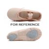 Practice Dance Shoes Ballet Shoes Canvas Ballet Dance Shoes Ballet Slipper Split